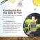 Hydrating Natural Conditioner - Lemongrass Moisturizing Organic Sulfate Free Conditioner - Raw Wildcrafted Probiotic Hypoallergenic Cleansing Conditioning Wash for All Hair - 9 Oz