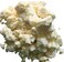 Organic Unrefined Shea Butter 2 LB Raw, African,100% Pure, Non-GMO, Moisturizing Vegan Butter for Hair &amp; Skin