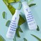 V&amp;Co. Beauty Straight Hair Moisturizing Conditioner with Peptide Technology, 12 oz