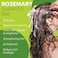 Rosemary Oil Shampoo Bar for Hair Strengthening &amp; Volumizing, Rosemary Shampoo Soap All Hair Types, No Harsh Chemicals.