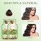 Bubble Plant Hair Dye Natural Plant Hair Dye, New Botanical Bubble Hair Dye Hair Dye Shampoo 20ml 10Packs/Box (Chestnut Brown)