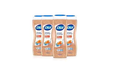 Dial Body Wash, Pamper &amp; Indulge, Silk &amp; Seaberry, 21 fl oz, Pack of 4