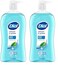 Dial Body Wash, Refresh &amp; Renew Spring Water, 32 fl oz (Pack of 2)