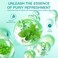Shower Steamers Aromatherapy - 18 Pack Shower Bombs Birthday Gifts for Women, Organic with Eucalyptus Mint Essential Oils, Eucalyptus for Shower, Mothers Day Gifts for Mom, Wife, Daughter