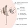 Ninabella Organic Detangling Hair Brush for Women, Men &amp; Children - Does not Pull on Hair - Hair Straightening Brushes for Straight, Curly &amp; Wet Hair - Unique Spiral Hairbrush