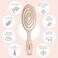 Ninabella Organic Detangling Hair Brush for Women, Men &amp; Children - Does not Pull on Hair - Hair Straightening Brushes for Straight, Curly &amp; Wet Hair - Unique Spiral Hairbrush
