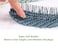 Natural Detangler Hair Brush for Wet and Dry Hair, All Hair Types - Eco-Friendly and Sustainable - Made from 100% Recycled Wheat Straw (Green)