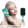 Plumeria Flower Hair Brush, Turquoise Anti-static Massage Hair Comb Air Cushion Hair Brush with Soft Bristles