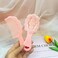 Mini Hair Brush,Small Cute Hair Comb 2 Piece Cloud shaped Hair Brushes Combs Set For Women Girls Kids Holiday Gifts,Travel Shower Detangling Comb Massage HairBrush for Dry,Wet Hair (Pink)