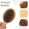 Mini Hair Brush, Portable Bamboo Hair Brush Small Travel Comb Paddle Detangling Hairbrush Scalp Massager Anti-Static Pocket Size Comb Air Cushion Hair Brush for Women Thick Thin Curly Wet Hair