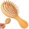 Mini Bamboo Brush for Hair Growth, Natural Wooden Massager Brush with Handle Design and Anti-Static Round Wood Pins for Scalp and Hair Detangling