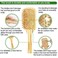 Bamboo Hair Brush Comb Set for Women, Wooden Paddle Detangling Brush for Thick Thin Curly Straight Wavy Fine Hair, Wide Tooth &amp; Tail Comb Great for Wet or Dry Use, Hairbrush Cleaning Tool Included
