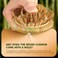 BFWood Bamboo Hair Brush Set, 4 PCS Natural Wooden Combs Paddle Detangling Hairbrush, Wide-tooth and Tail Comb and Mini Paddle Brush for Traveling, Suit for Women &amp; Men