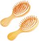 2 PCS Travel Brush,Bamboo Brush Mini Hairbrush Anti-Static Travel Brushes for Hair Massage Scalp Detangling Brush Yellow Mini Hair Brush Natural Wooden Pocket Travel Small Hair Brush for All Hair