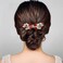 Rhinestone Hair Comb - Sparkly Hair Accessory for Bridal Women in Wedding Party(Red-Gold)