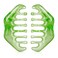 Geiserailie 2 Pieces Jade Combs Massage Stone Hair Gua Sha Scraping Scalp Comb Facial Massage Tool Multifunctional Handheld Head Tools Head Caring Therapy Mother's Day Gift(Elegant Style)
