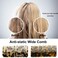 2-Pack Large Hair Detangling Comb, French Hair Comb Wide Teeth Pocket Comb for Thick Curly Wavy Hair, Detangler Comb Styling Comb