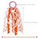 Sucrain 18 PCS Girls Hair Ribbons Ties Colorful Elastic Curly Boutique Hair Band Toddlers Girls Kids Children Ponytail Holders