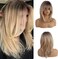 Esmee Synthetic Wigs Long Straight Layered Hairstyle Ombre Black Blonde Gray Ash Full Wigs with Bangs for white Women