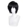 Fushiguro Toji Black Straight Anime Comic Exhibition Cosplay COS Wigs Hair Ends Upturned