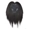 100% Real Human Hair Clip In Bangs Top Piece Hair Extensions 13" Straight Hair Topper Hairpiece for Women (1B# Natural Black)