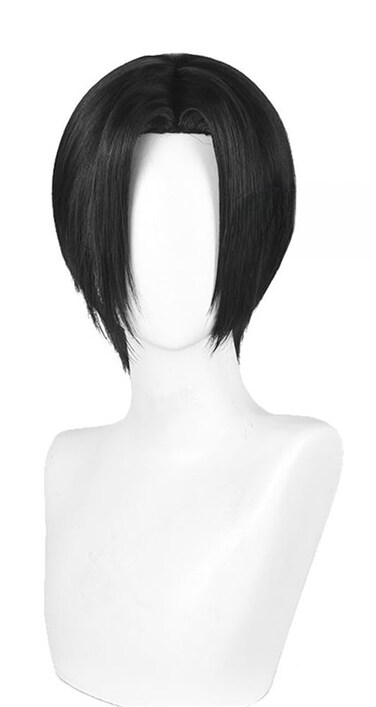 Anime Copslay Wig Black Hair Wig Layered Wig with Bangs Middle Part Wig Heat Resistant Wig Role Play Wig 11 inches