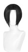 Anime Copslay Wig Black Hair Wig Layered Wig with Bangs Middle Part Wig Heat Resistant Wig Role Play Wig 11 inches