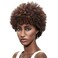 Style Icon Afro 5" Short Curly Wigs with 100% Brazilian Hair (3-Color Mixed: DARK BLONDE &amp; MEDIUM AUBURN &amp; DARK BROWN) - Afro Wigs for Black Women - Human Hair Wigs - Beauty Personal Care Afro Wig