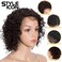 Style Icon 10" Human Hair Afro Wigs Short Curly Wigs for Black Women Lace Front Side Part Wigs (10 Inch, 2)