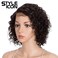 Style Icon 10" Human Hair Afro Wigs Short Curly Wigs for Black Women Lace Front Side Part Wigs (10 Inch, 2)