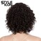 Style Icon 10" Human Hair Afro Wigs Short Curly Wigs for Black Women Lace Front Side Part Wigs (10 Inch, 2)