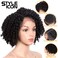 Style Icon 12" Afro Wigs Short Curly Wigs for Black Women Lace Front Side Part Synthetic Wigs (12 Inch, Jet Black)