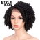 Style Icon 12" Afro Wigs Short Curly Wigs for Black Women Lace Front Side Part Synthetic Wigs (12 Inch, Jet Black)