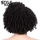 Style Icon 12" Afro Wigs Short Curly Wigs for Black Women Lace Front Side Part Synthetic Wigs (12 Inch, Jet Black)