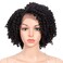 Style Icon 12" Afro Wigs Short Curly Wigs for Black Women Lace Front Side Part Synthetic Wigs (12 Inch, Jet Black)