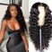 Wigs Human Hair Loose Deep Wave Human Hair Wig Pre Plucked Pre Cut Loose Wave Glueless Deep Wave Lace Closure for Women 16 Inch 4x4 HD Transparent Natural Black