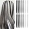 12PCS 20''Colorful Party Highlights Hair Extensions Clip in,Grey Hair Extensions Grey Straight Synthetic Hairpieces for Women Girls Hair Accessories (Grey,Light Grey,Dark Grey)