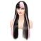 Black and Pink Wigs with Bangs for Women Long Straight Synthetic Wig,Heat Resistant Hair Natural Looking Wig Daily Party Halloween Cospaly Used