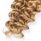 Curly Braiding Human Hair 100g 20 Inch Color 27 Honey Blonde Deep Water Wave Bulk Human Hair for Braiding No Weft Brazilian Virgin Deep Curly Human Hair Extensions for Boho Braids