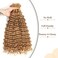 Curly Braiding Human Hair 100g 20 Inch Color 27 Honey Blonde Deep Wave Bulk Human Hair for Braiding No Weft Brazilian Virgin Deep French Curl Braiding Human Hair Extensions for Boho Braids