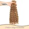 Curly Braiding Human Hair 100g 20 Inch Color 27 Honey Blonde Deep Wave Bulk Human Hair for Braiding No Weft Brazilian Virgin Deep French Curl Braiding Human Hair Extensions for Boho Braids