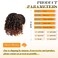 PEACOCO Curly Ponytail Extension Drawstring Ponytails for Black Women Synthetic Curly Drawstring Ponytail with 2 Clips on Ponytails for Women (6 inch, T1B/350#)