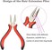 3Pcs Micro Link Hair Feather Extensions Tool Sets, 3 Holes Mini Hair Pliers, Micro Pulling Needle, and Loop Threader for Microlink Rings Hair Extension Beads