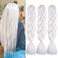 Braiding Hair Extensions White Braids Hair Hot Water Setting (60#-3Packs)