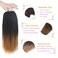 MOSINA Senegalese Twist Crochet Hair 8 Packs Ombre Crochet Braid 14 Inch Crochet Hair For Black Women Professional Synthetic Braiding Hair 30 Strands/Pack (14 Inch, 1B/27)