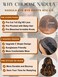 Nadula Bye Bye Knots Glueless Pre Everything Wig Balayage Brown Body Wave 7x5 Pre Cut HD Lace Front Wigs Human Hair Pre Plucked Bleached Knots Ready to Go Highlight Ombre Wig 150% Density 16inch