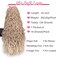 Leeven 24 Inch Goddess New Faux Locs Crochet Braids 7 Packs Ombre Blonde Pre-looped Messy Soft Locs Crochet Hair Distressed Faux Locs Hair for Women 18 Strands/Pack 27/613#