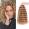 Gogo Curl Crochet Hair 12 Inch 8 Packs Short Curly Crochet Hair for Blcak Women - Beach Curl Crochet Hair - Deep Wave Crochet Hair - Water Wave Braids Synthetic Hair Extensions (12 Inch 8 Packs, 27)