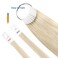Human Hair Swatches Testing Color Samples for Salon Color Rings, Lightest Blonde 30 Pieces 8 Inch