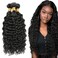 Color #1B Bundles Human Hair Natural Black Water Wave Bundles Natural Color Wet and Wavy Bundles Brazilian Unprocessed Virgin Hair Mixed Length 3 Bundles 24 26 28 Inch